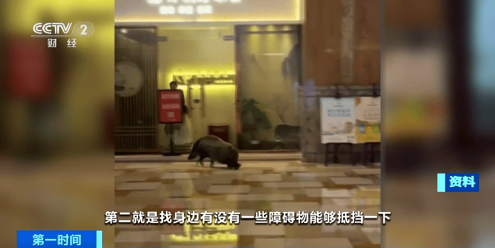 北京林业大学毕业证(北京林业大学毕业证每年什么时间发)