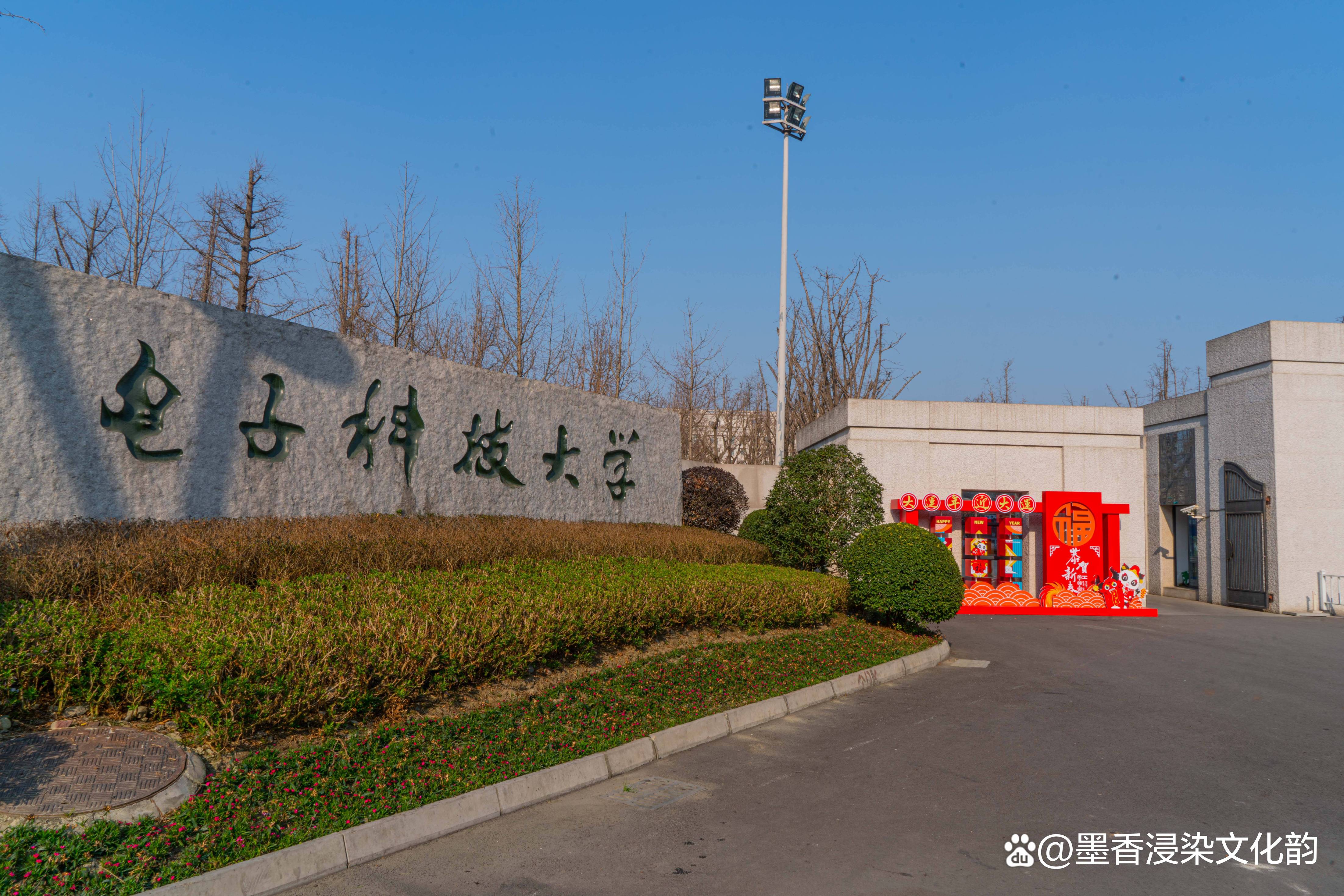 电子科技大学排名