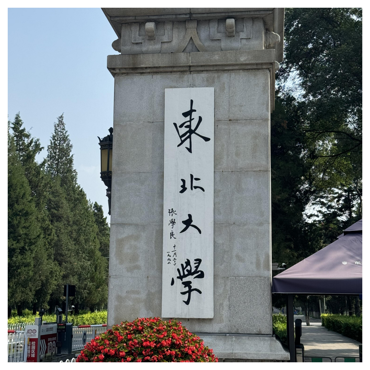 东北大学官网