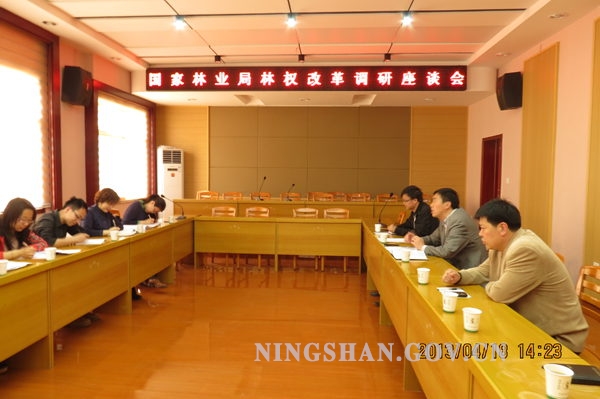 北京林业大学毕业设计系统