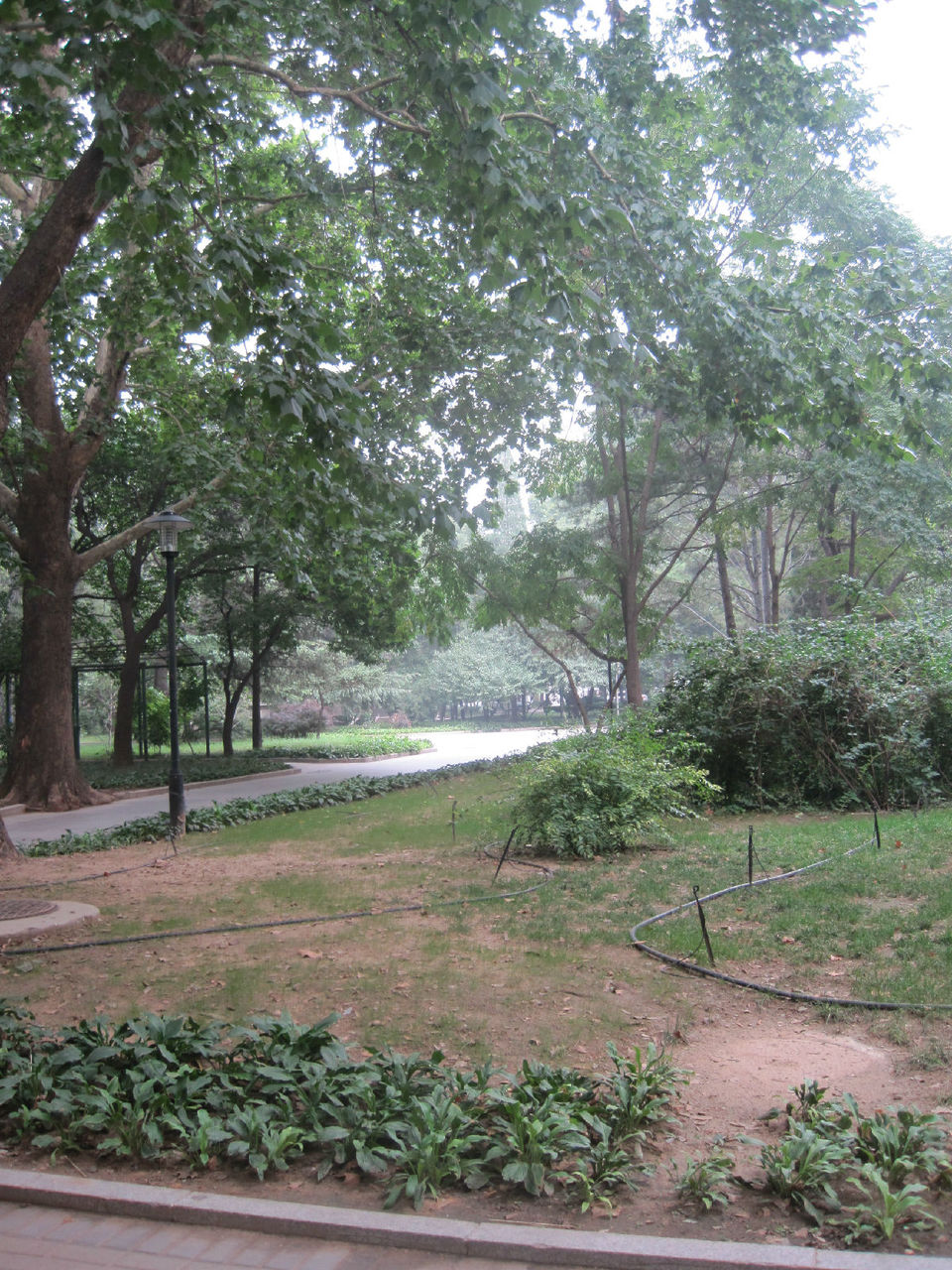 北京林业大学林学院是本科吗